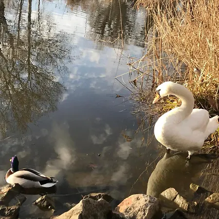 Sophie-haus, Sophie-haz 펜션