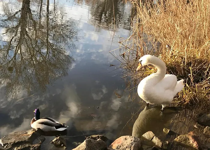 Sophie-haus, Sophie-haz Semesterbostad